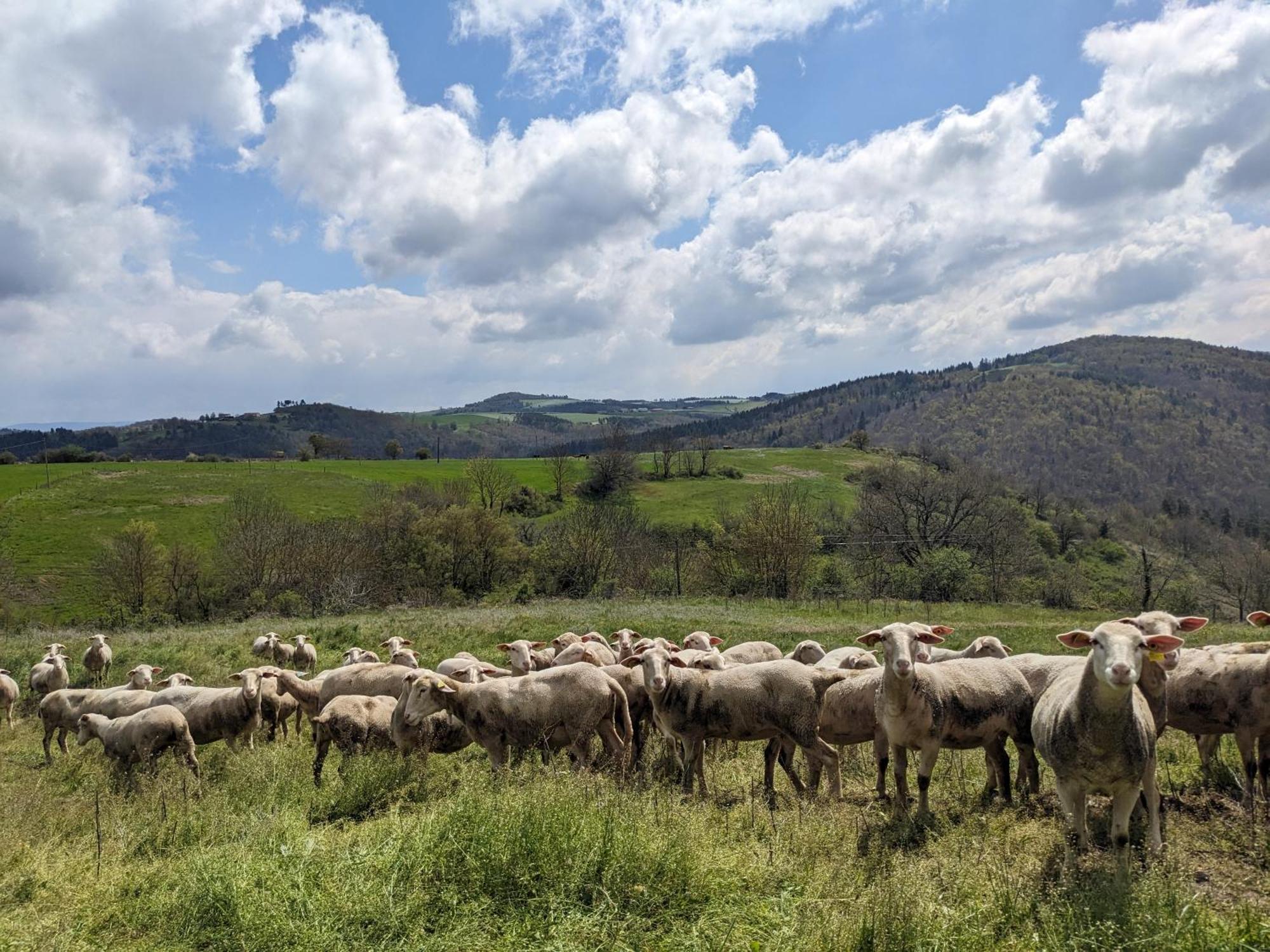 La Grange, Le Hameau Des Volcans - Deconnexion Face A La Vue Saint-Just-pres-Brioude 외부 사진